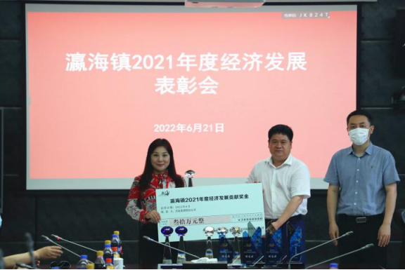 助力經(jīng)濟發(fā)展，美巢集團股份公司獲瀛海鎮(zhèn)經(jīng)濟發(fā)展三項大獎