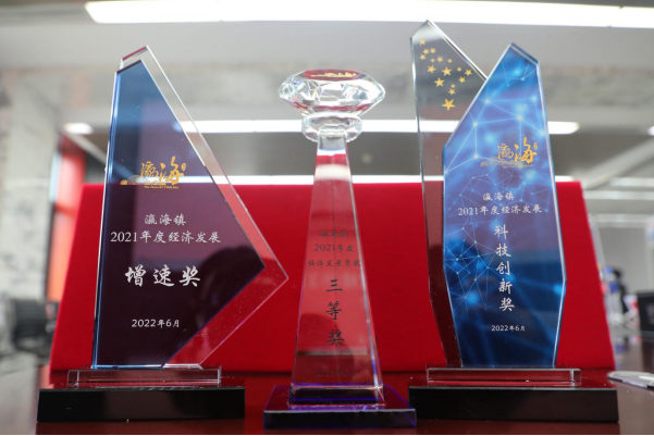 助力經(jīng)濟發(fā)展，美巢集團股份公司獲瀛海鎮(zhèn)經(jīng)濟發(fā)展三項大獎