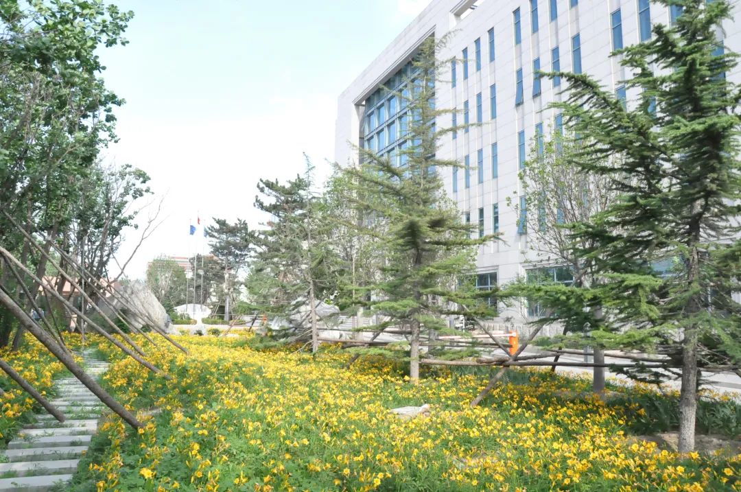 踐行可持續(xù)發(fā)展理念,美巢全鏈路打造環(huán)保健康人居環(huán)境